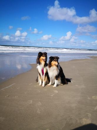 von der Sandsteinvilla