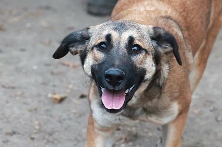 Alani - will alles noch kennenlernen