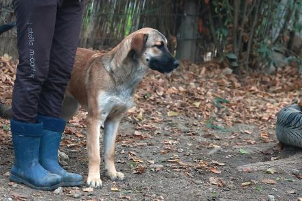 Alani - will alles noch kennenlernen