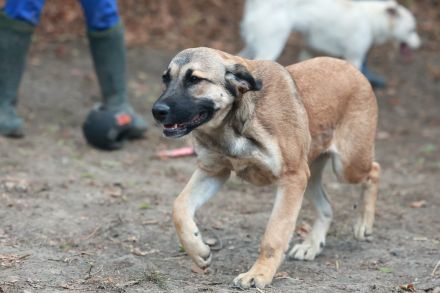 Alani - will alles noch kennenlernen