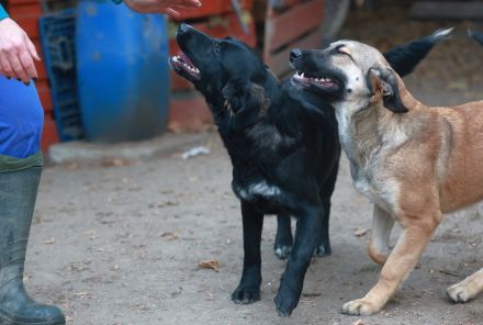 Alani - will alles noch kennenlernen