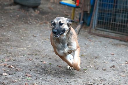 Alani - will alles noch kennenlernen