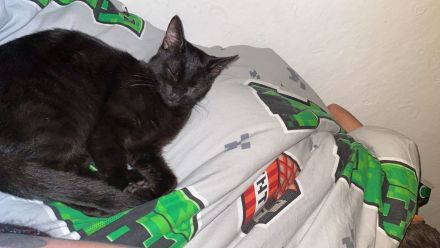 Günther und Amira suchen neues Zuhause für immer.