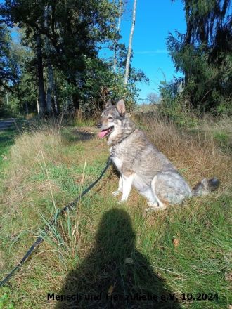 Figa sehr lieb und ausgeglichen