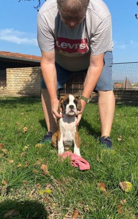 Ein herziges Geschwisterpärchen ist auf der Suche nach Traumplätzen