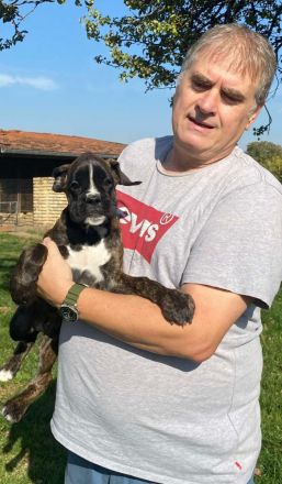 Ein herziges Geschwisterpärchen ist auf der Suche nach Traumplätzen