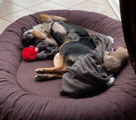 Alma, Powerfrau sucht sportliche Familie