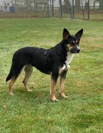 Alma, Powerfrau sucht sportliche Familie