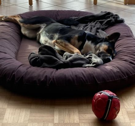 Alma, Powerfrau sucht sportliche Familie