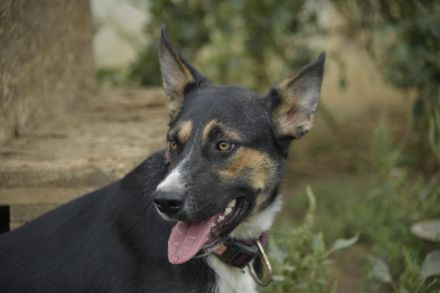 Alma, Powerfrau sucht sportliche Familie