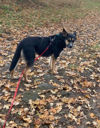 Alma, Powerfrau sucht sportliche Familie