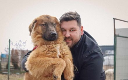 Juno sucht eine geduldige Familie