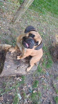 Letzter Preis 700 Euro