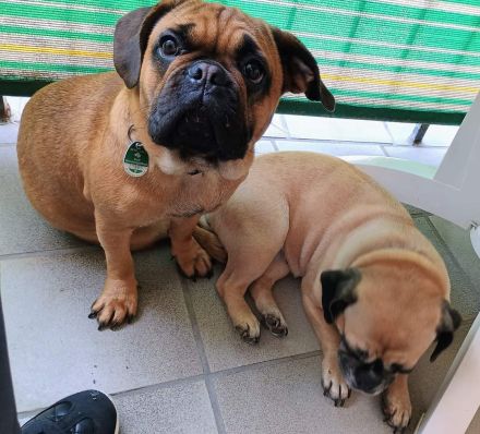 Letzter Preis 700 Euro