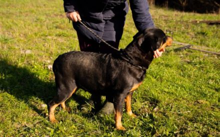 Einfühlsame & menschenbezoge Grete sucht Ihren Altersruhesitz.