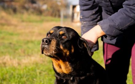 Einfühlsame & menschenbezoge Grete sucht Ihren Altersruhesitz.