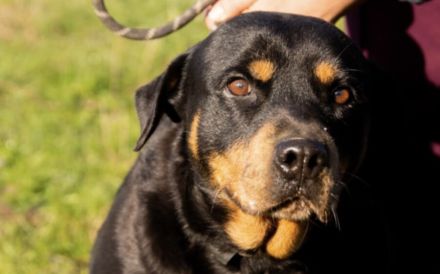 Einfühlsame & menschenbezoge Grete sucht Ihren Altersruhesitz.