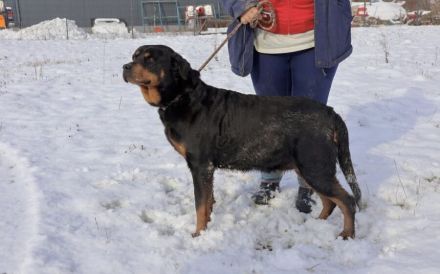 Einfühlsame & menschenbezoge Grete sucht Ihren Altersruhesitz.