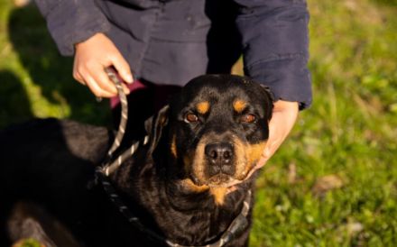 Einfühlsame & menschenbezoge Grete sucht Ihren Altersruhesitz.