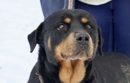 Einfühlsame & menschenbezoge Grete sucht Ihren Altersruhesitz.