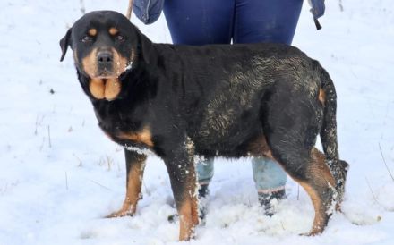 Einfühlsame & menschenbezoge Grete sucht Ihren Altersruhesitz.