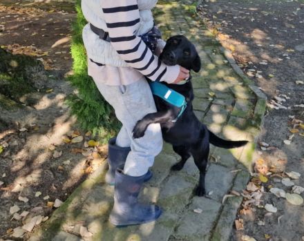 Málna sucht ein Zuhause