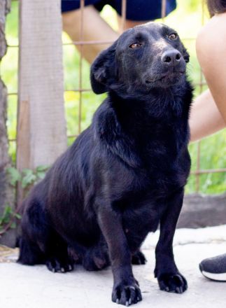 Málna sucht ein Zuhause