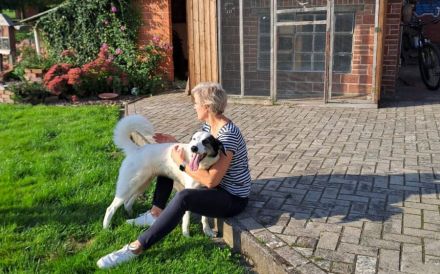 Naira sehnt sich nach einem geduldigen, liebevollen Zuhause