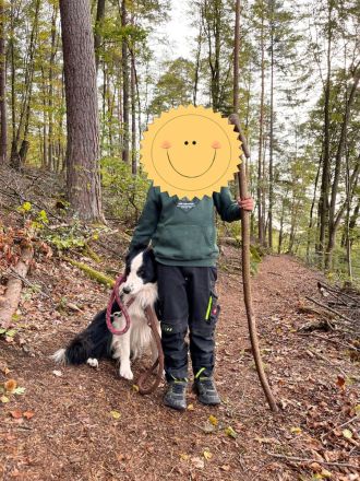 Reinrassiger Border Collie und ein Mischlingsmädchen suchen ein Zuhause