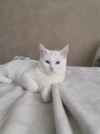 Geschwister paar sucht ein zu Hause