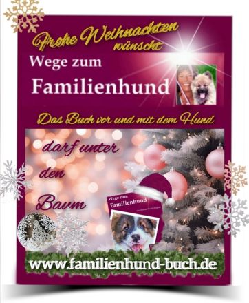 Welpe, Junghund, erwachsener Hund: Buchtipp zu Weihnachten: Wege zum Familienhund
