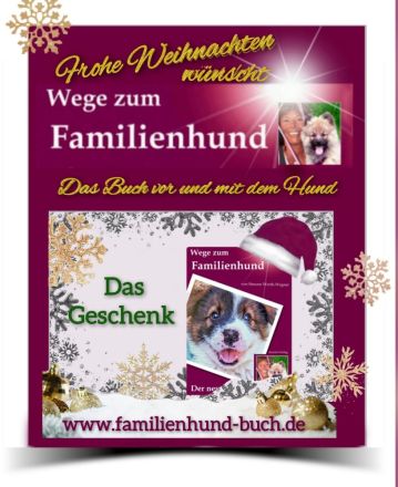 Welpe, Junghund, erwachsener Hund: Buchtipp zu Weihnachten: Wege zum Familienhund