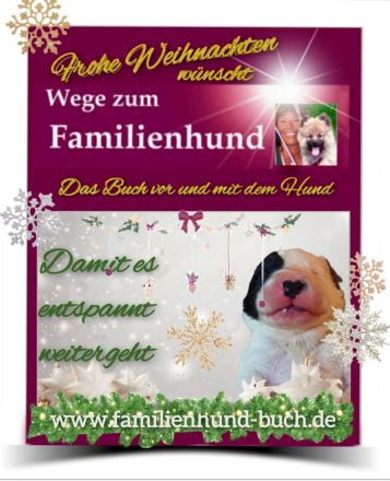 Welpe, Junghund, erwachsener Hund: Buchtipp zu Weihnachten: Wege zum Familienhund