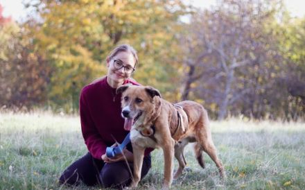 wunderschöner Fox sucht ein  liebevolles Zuhause