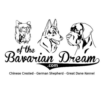 of the Bavarain Dream