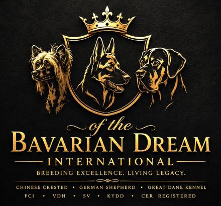 of the Bavarain Dream