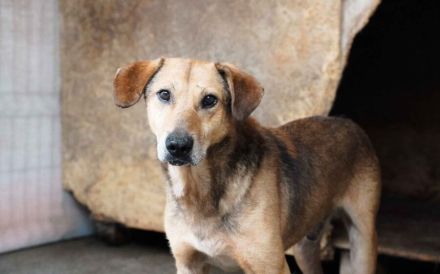 Verunsicherter Karlo sucht seinen sicheren Hafen