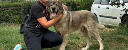 Teddybär-Alarm; Mampfred sucht einen liebevollen Altersruhesitz.