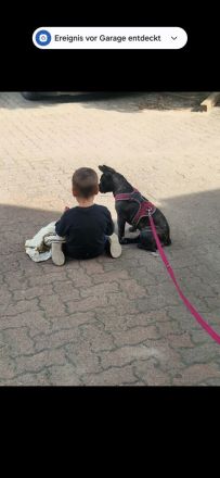 Lucy sucht eine neue Kuscheloase