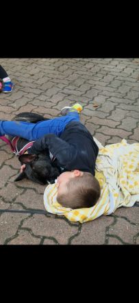 Lucy sucht eine neue Kuscheloase