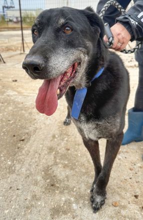 Bruno, unser Notfall