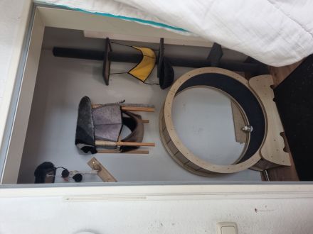 Ernamtlich pflegestelle für kleine-Zwerge Katzen