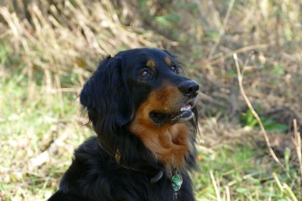 aus der Basaltschmiede