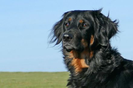 aus der Basaltschmiede