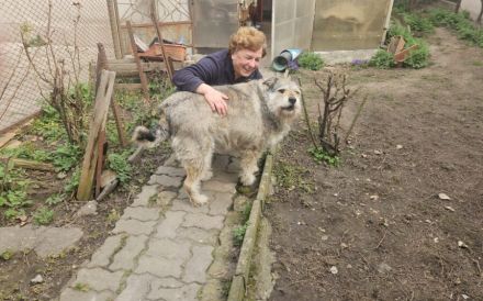 Treuer Wirbelwind Bijou sucht Familienanschluss