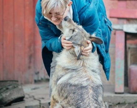 Treuer Wirbelwind BIJOU (w) sucht Familienanschluss