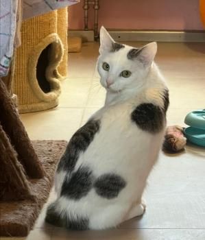 Mascha, Irina, Anastasia, Vladimir, Vitali und Victoria