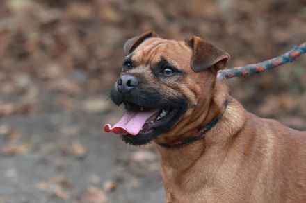 Fritzi - sucht aktive Menschen