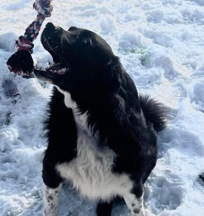 Don: Haus mit Garten und tollen Menschen gesucht