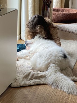 Bezaubernder weißer Hütehund und Familienfreund sucht Landhaus